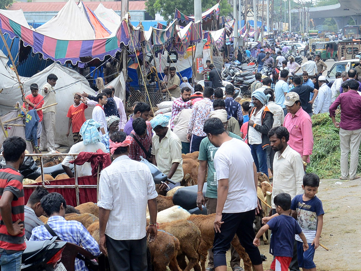 Eid alAdha Festival Photo Gallery - Sakshi16