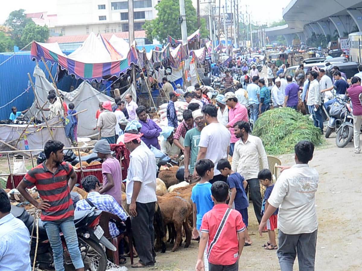 Eid alAdha Festival Photo Gallery - Sakshi17