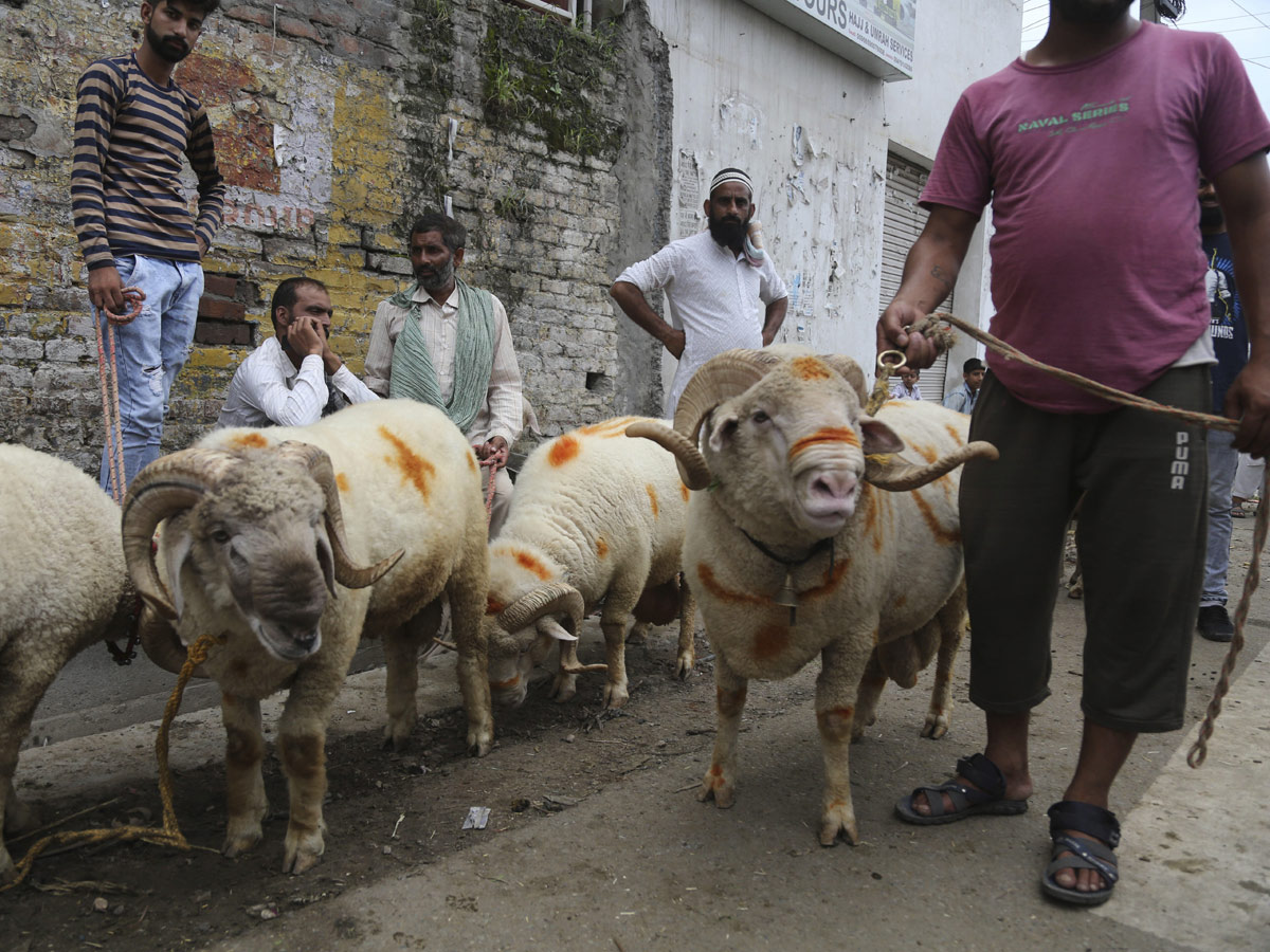 Eid alAdha Festival Photo Gallery - Sakshi20