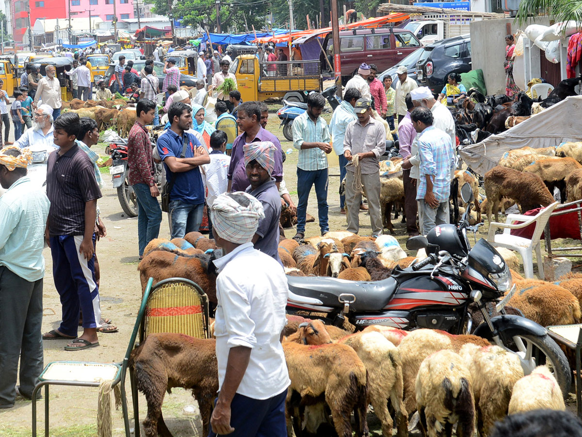 Eid alAdha Festival Photo Gallery - Sakshi23