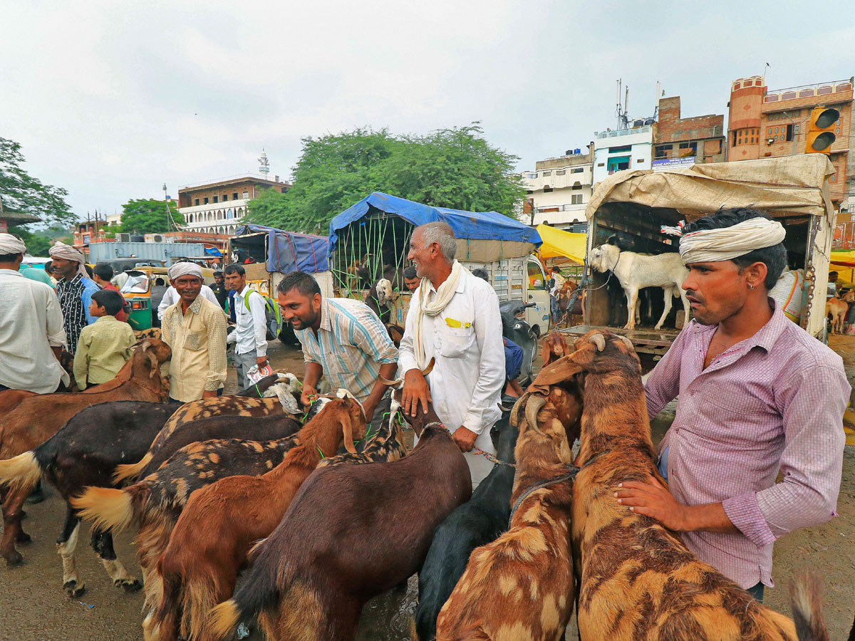 Eid alAdha Festival Photo Gallery - Sakshi25