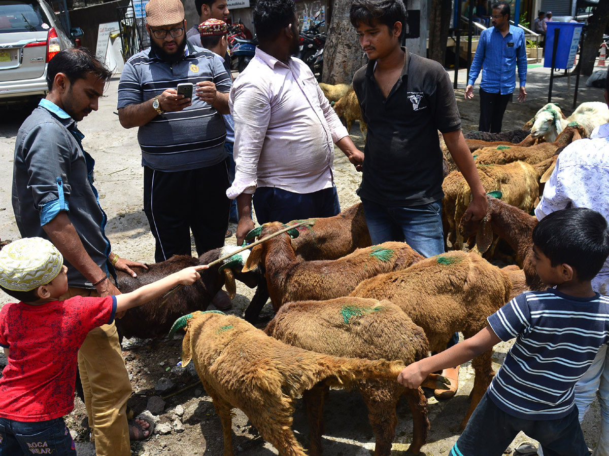 Eid alAdha Festival Photo Gallery - Sakshi3