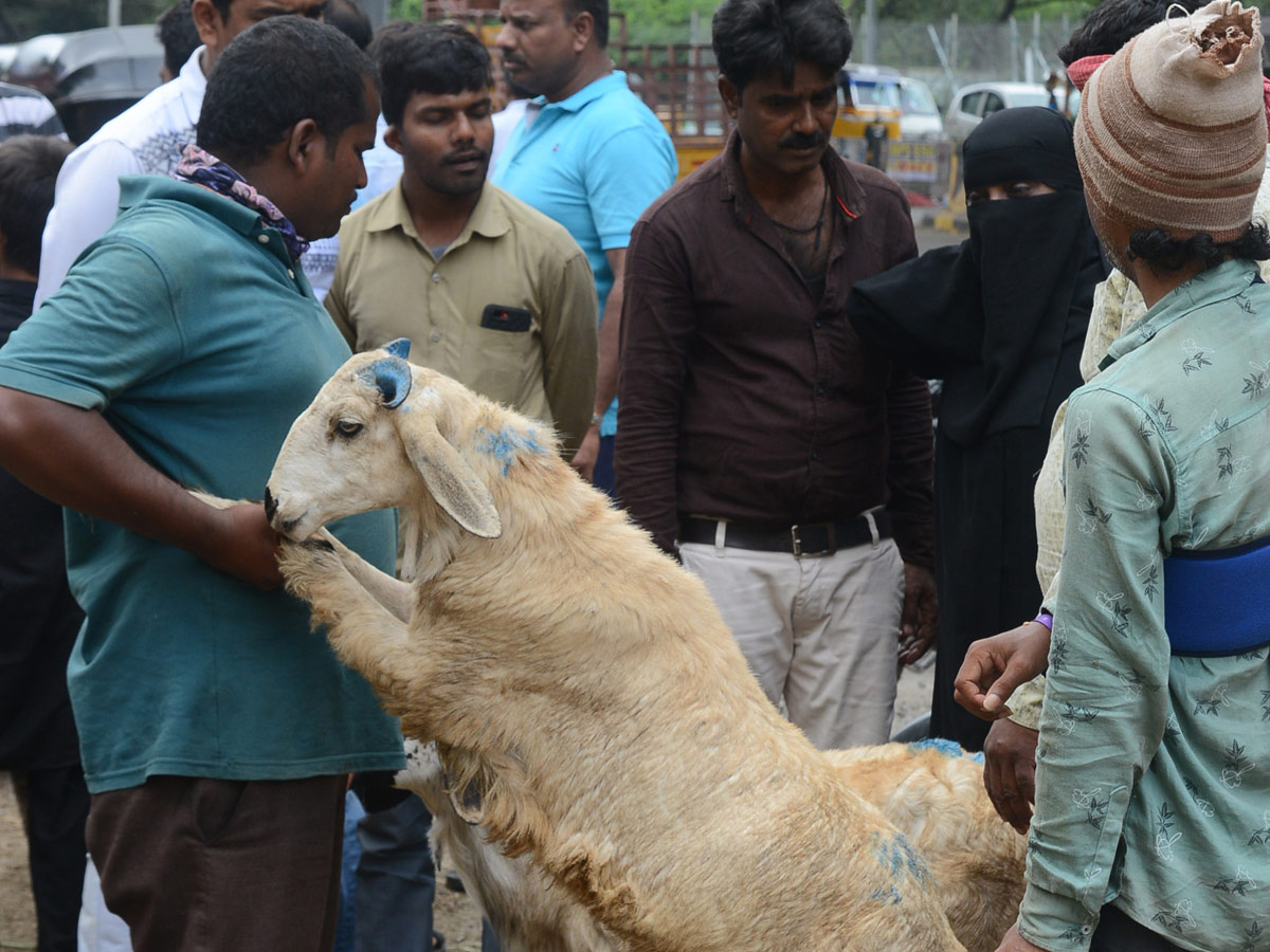 Eid alAdha Festival Photo Gallery - Sakshi5