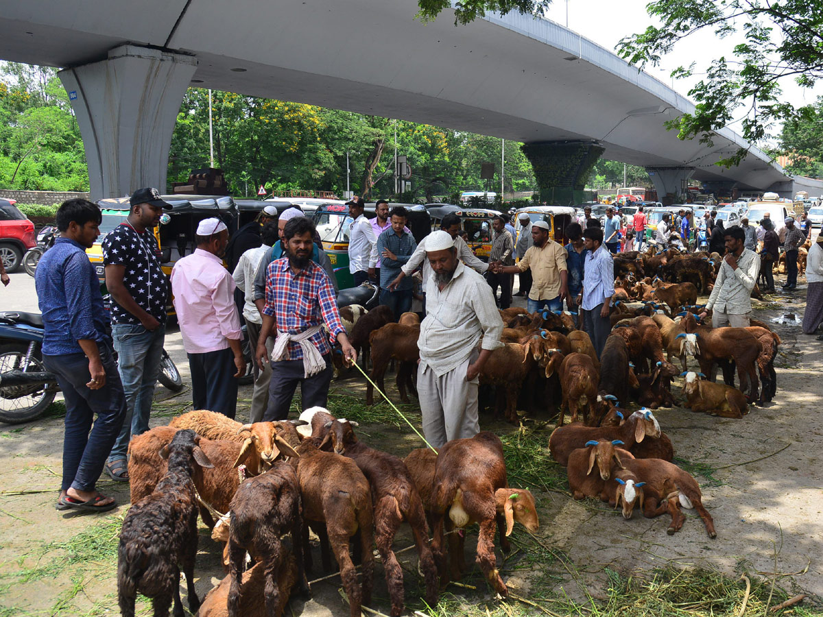 Eid alAdha Festival Photo Gallery - Sakshi8