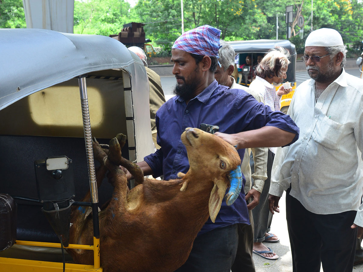 Eid alAdha Festival Photo Gallery - Sakshi9