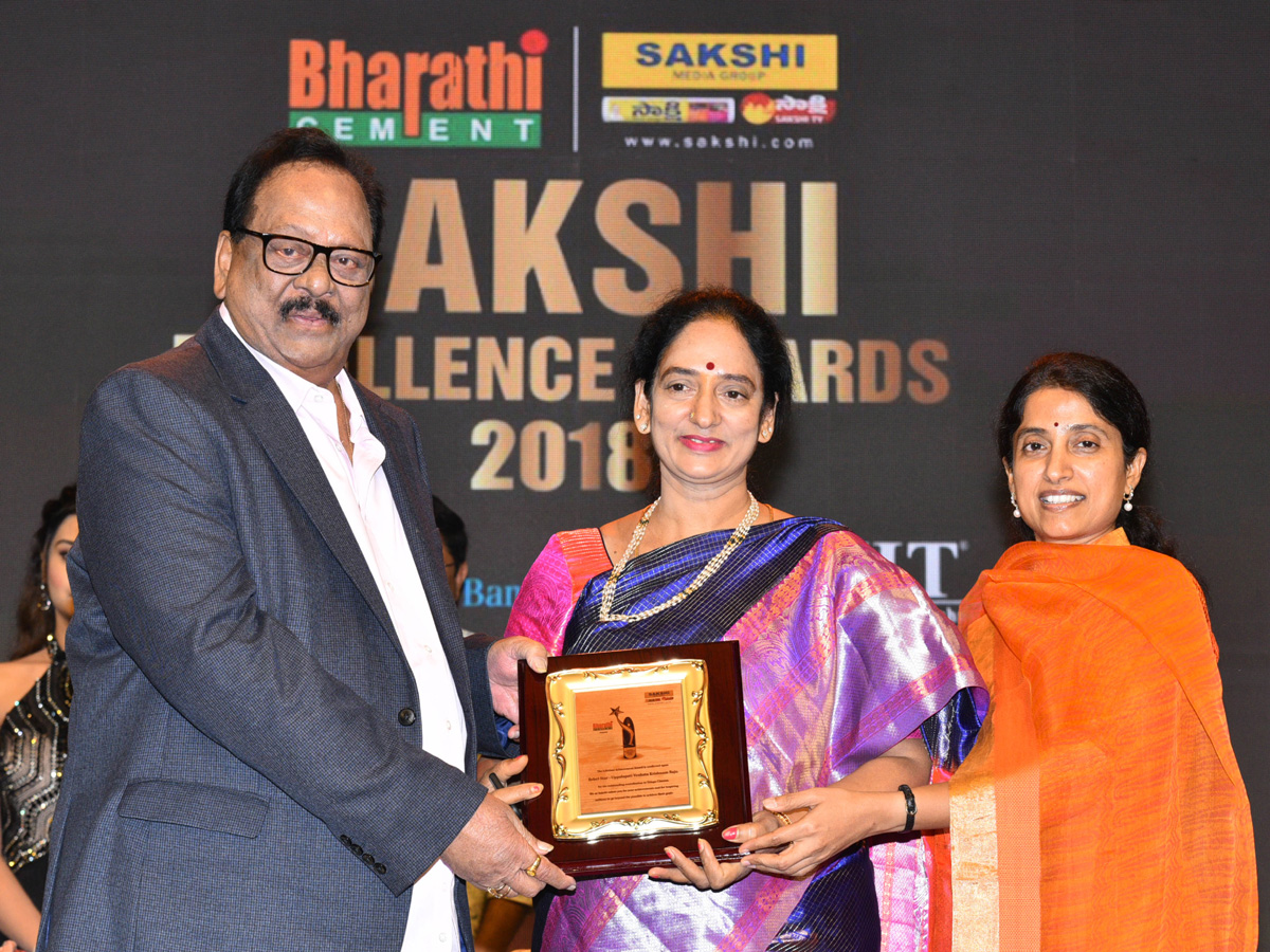 sakshi excellence awards 2019 Photo Gallery - Sakshi15