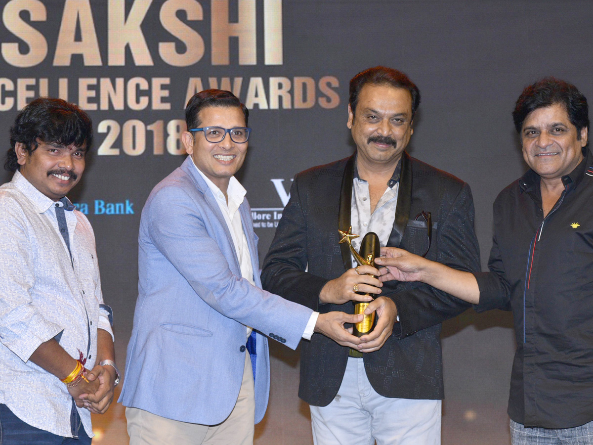 sakshi excellence awards 2019 Photo Gallery - Sakshi10