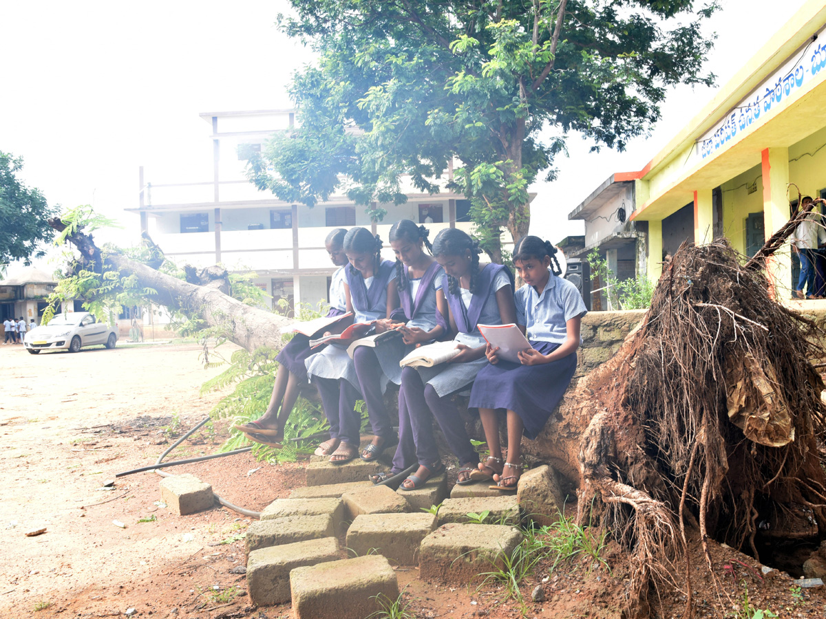 Best photos of The Week in AP and Telangana  August 11-08-2019 to August 18-08- 2019 - Sakshi16