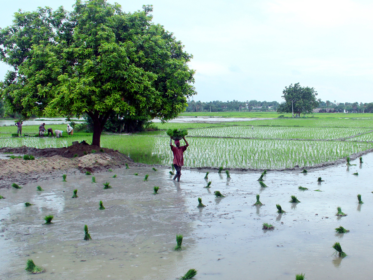 Best photos of The Week in AP and Telangana  August 11-08-2019 to August 18-08- 2019 - Sakshi5