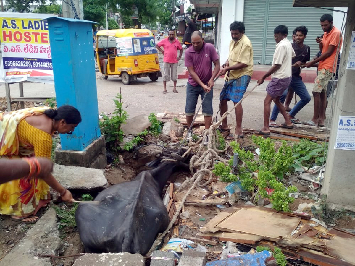 Best photos of The Week in AP and Telangana  August 11-08-2019 to August 18-08- 2019 - Sakshi7