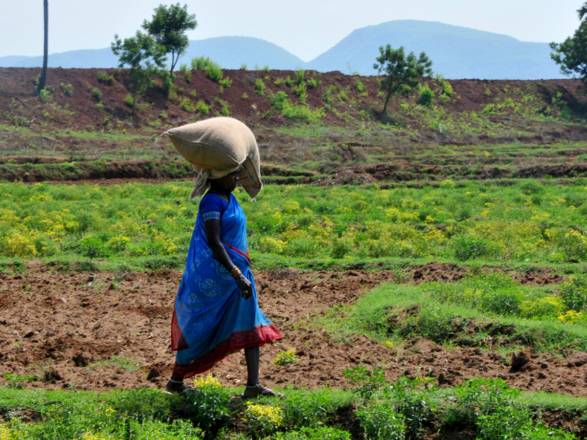 Best photos of The Week in AP and Telangana  August 11-08-2019 to August 18-08- 2019 - Sakshi42