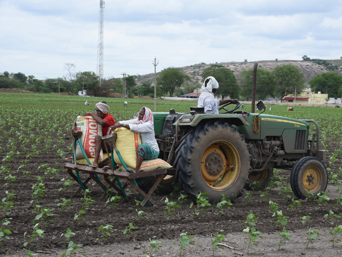 Best photos of The Week in AP and Telangana  August 11-08-2019 to August 18-08- 2019 - Sakshi48