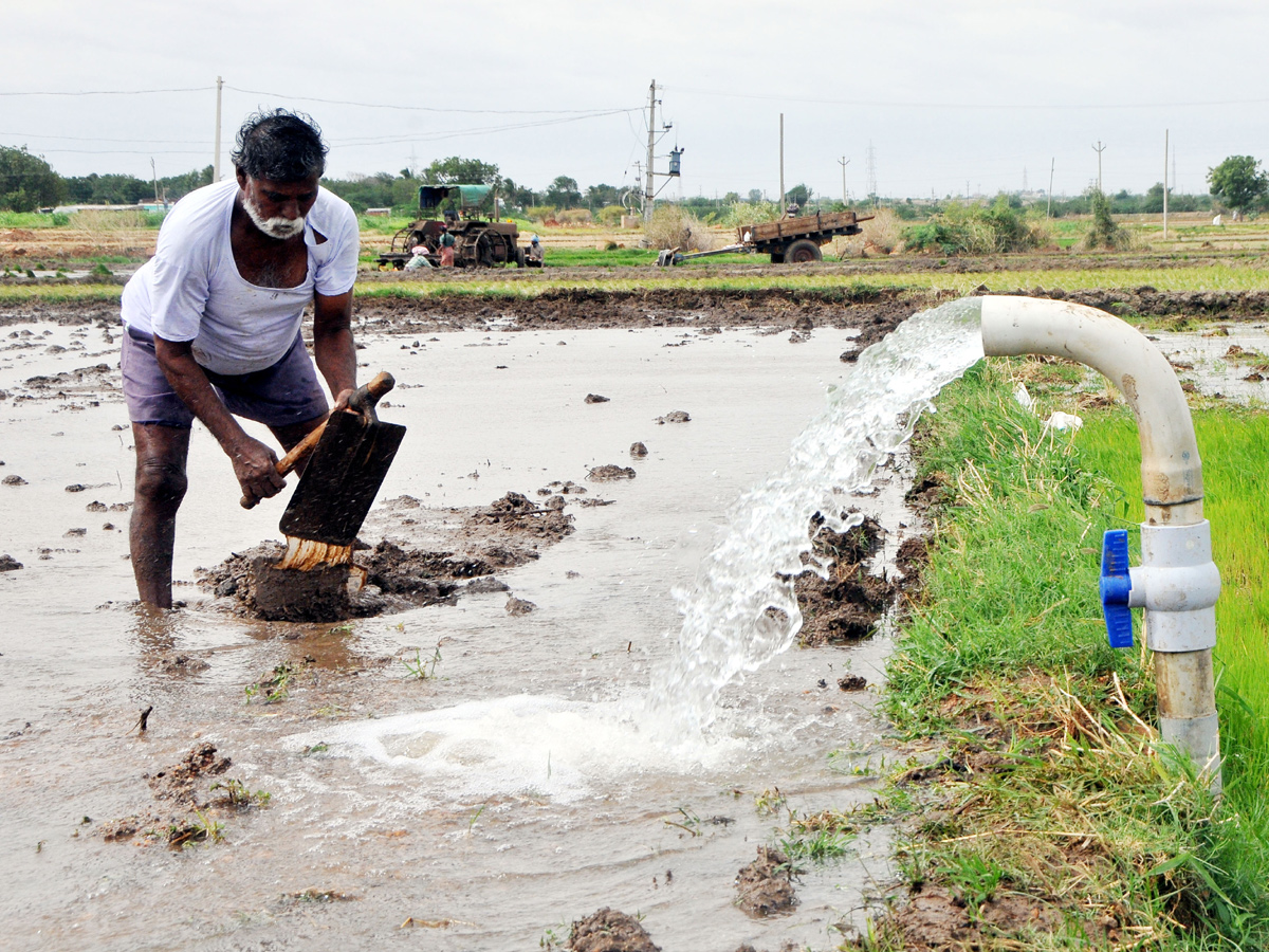 Best photos of The Week in AP and Telangana  August 11-08-2019 to August 18-08- 2019 - Sakshi9