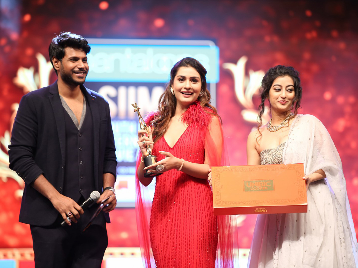 SIIMA Awards 2019 Photo Gallery - Sakshi17