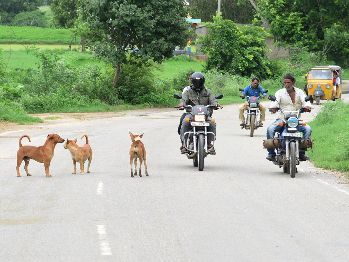 Best images of The Week in AP and Telangana  August 18-08-2019 to August 25-08- 2019 - Sakshi15