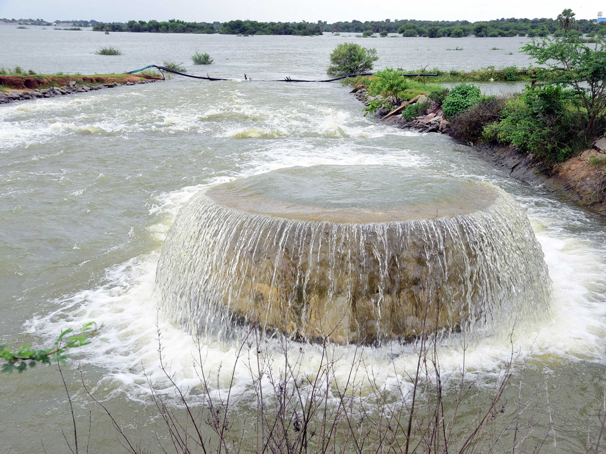 Best images of The Week in AP and Telangana  August 18-08-2019 to August 25-08- 2019 - Sakshi16