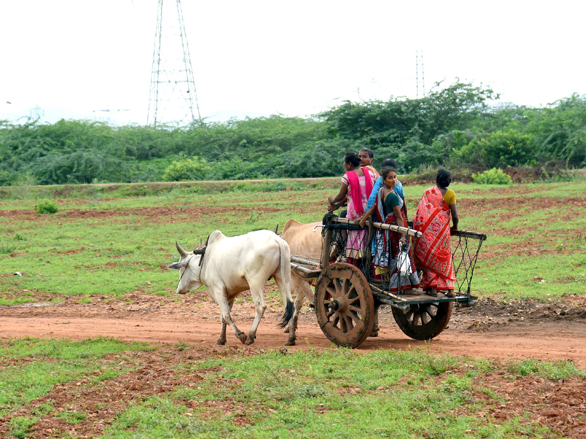 Best images of The Week in AP and Telangana  August 18-08-2019 to August 25-08- 2019 - Sakshi27