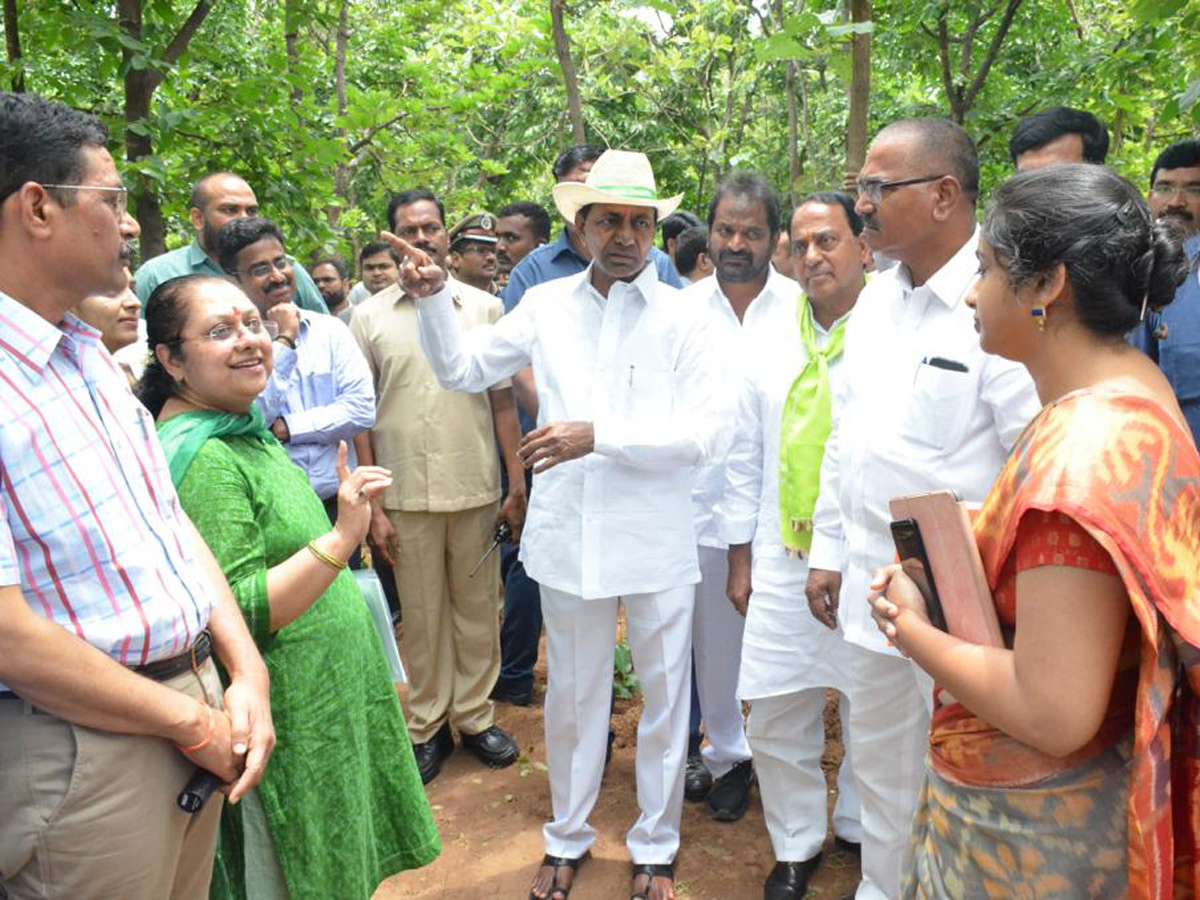 KCR Visits Komatibanda And Gave Directions To Collectors Photo Gallery - Sakshi1