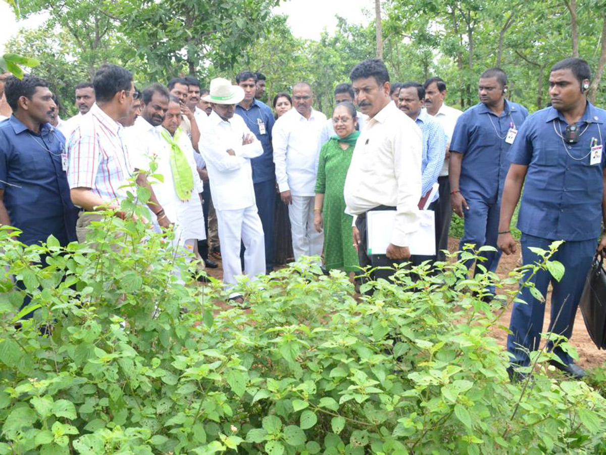 KCR Visits Komatibanda And Gave Directions To Collectors Photo Gallery - Sakshi11