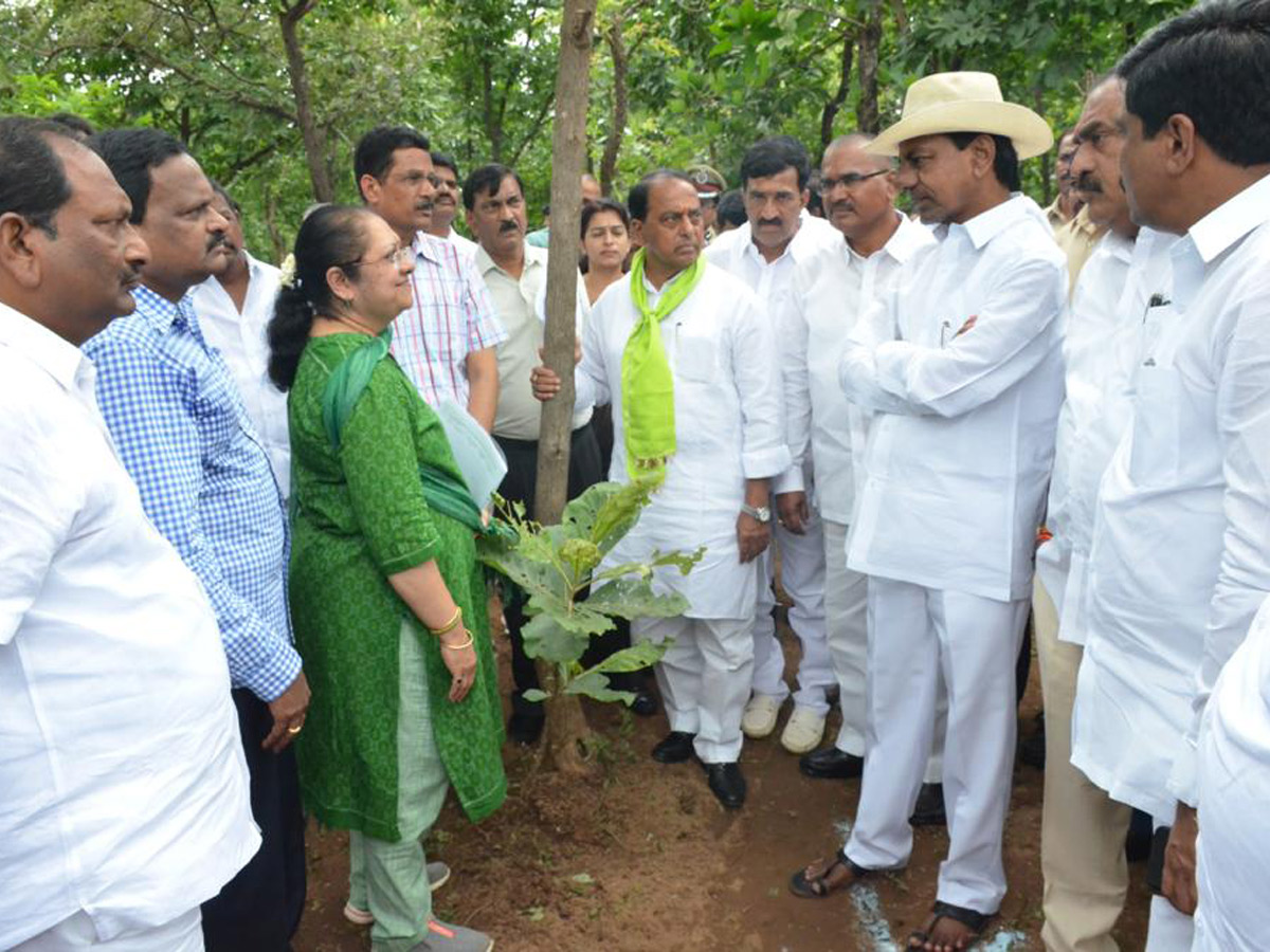 KCR Visits Komatibanda And Gave Directions To Collectors Photo Gallery - Sakshi12