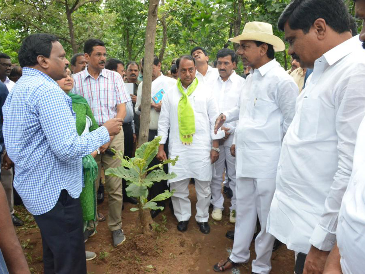 KCR Visits Komatibanda And Gave Directions To Collectors Photo Gallery - Sakshi13