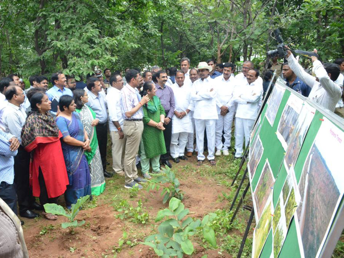 KCR Visits Komatibanda And Gave Directions To Collectors Photo Gallery - Sakshi19