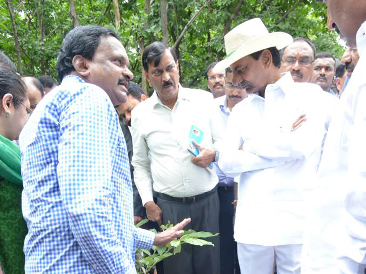 KCR Visits Komatibanda And Gave Directions To Collectors Photo Gallery - Sakshi4