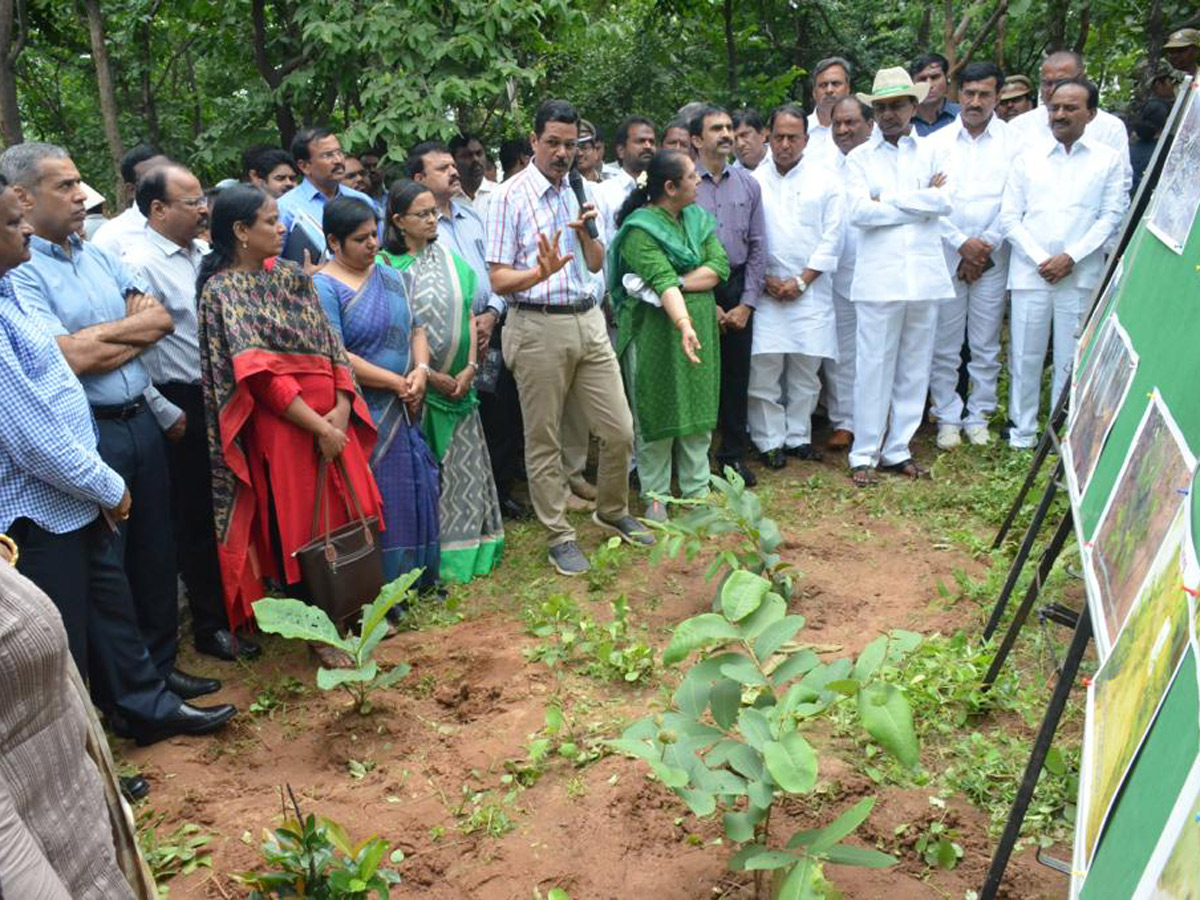 KCR Visits Komatibanda And Gave Directions To Collectors Photo Gallery - Sakshi5