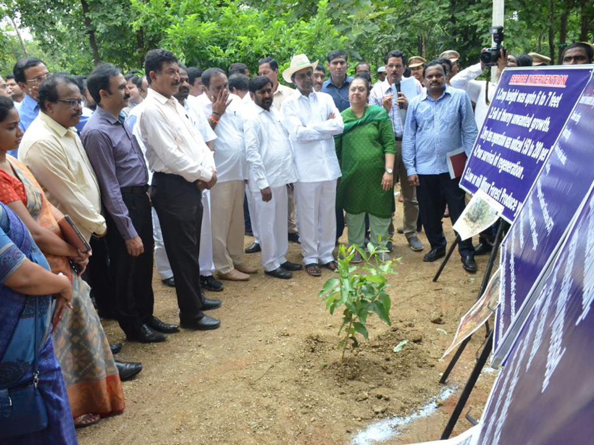 KCR Visits Komatibanda And Gave Directions To Collectors Photo Gallery - Sakshi8