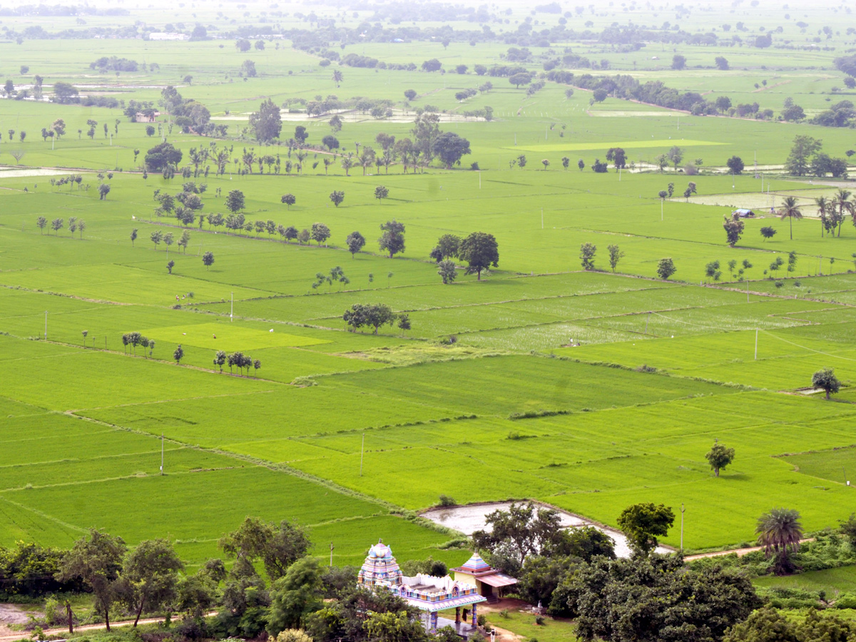 Best Photos of The Week in AP and Telangana  August 25-08-2019 to september 01-09- 2019 - Sakshi18