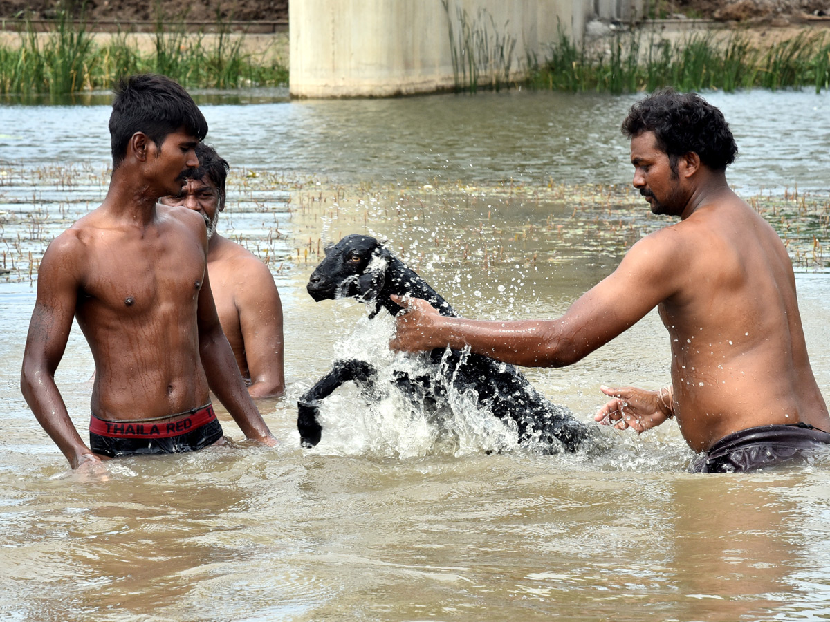   Best images of The Week in AP and Telangana  August 04 to August 11 2019 - Sakshi21