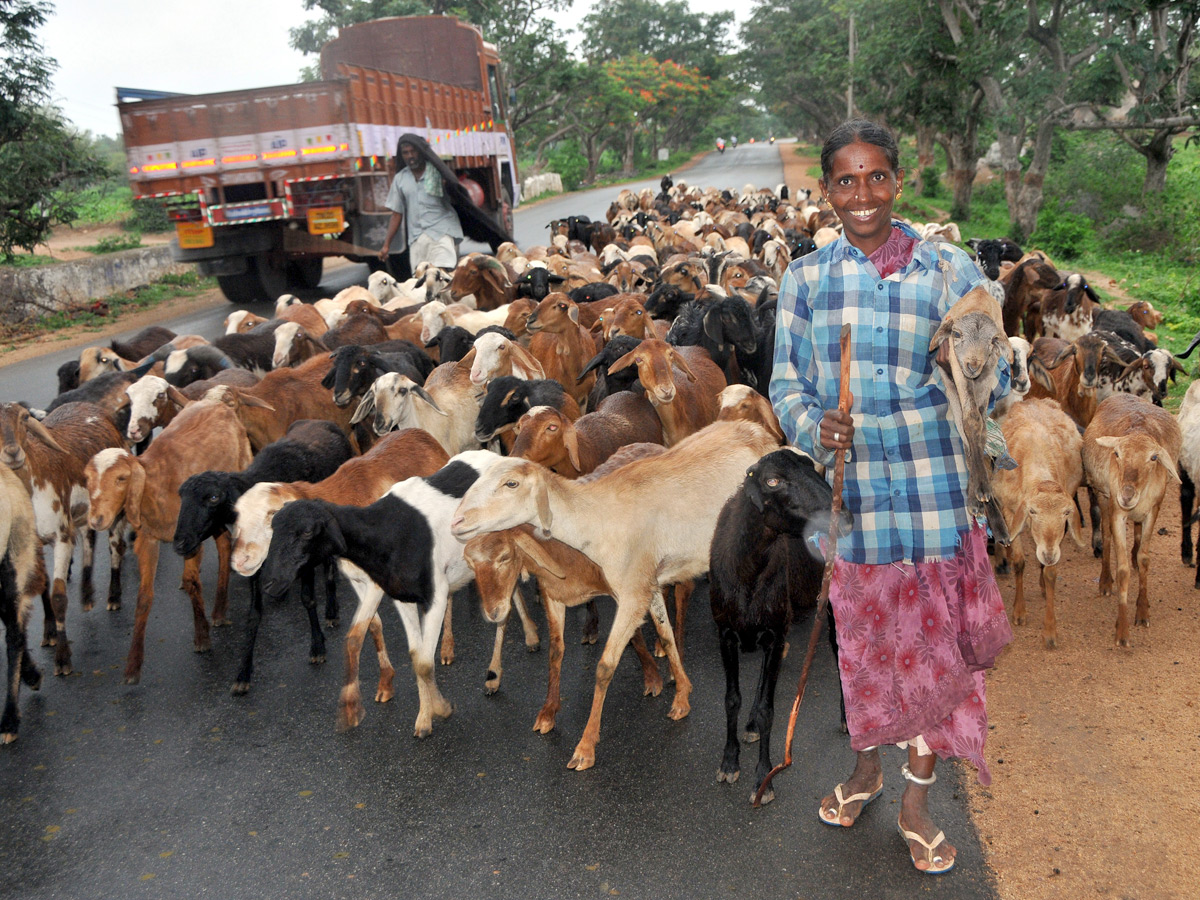   Best images of The Week in AP and Telangana  August 04 to August 11 2019 - Sakshi27