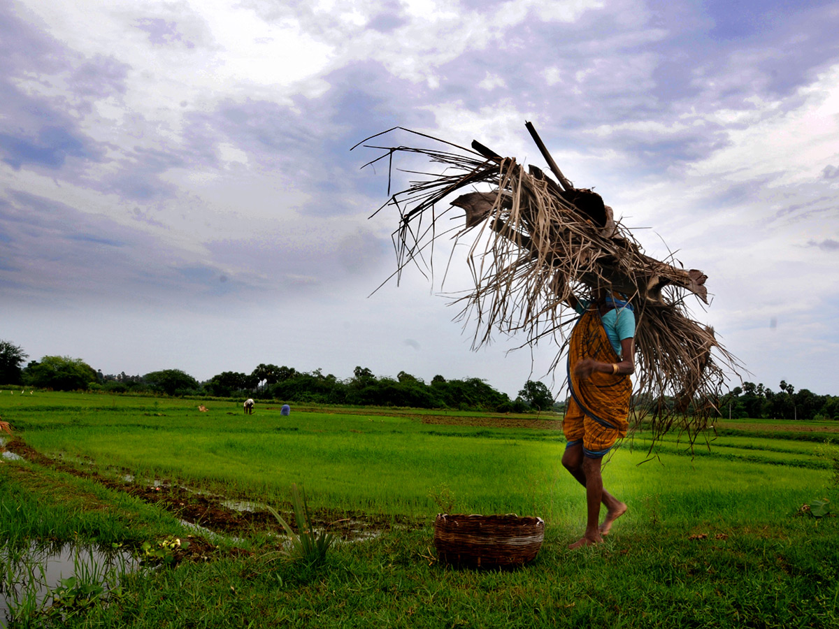   Best images of The Week in AP and Telangana  August 04 to August 11 2019 - Sakshi29