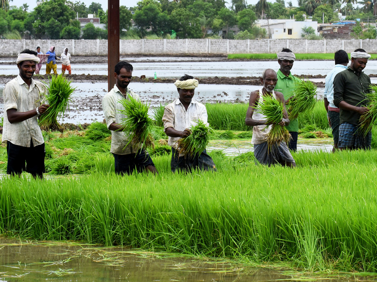   Best images of The Week in AP and Telangana  August 04 to August 11 2019 - Sakshi46