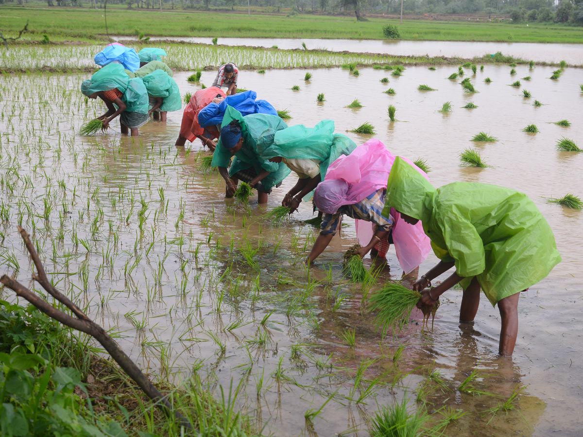   Best images of The Week in AP and Telangana  August 04 to August 11 2019 - Sakshi13