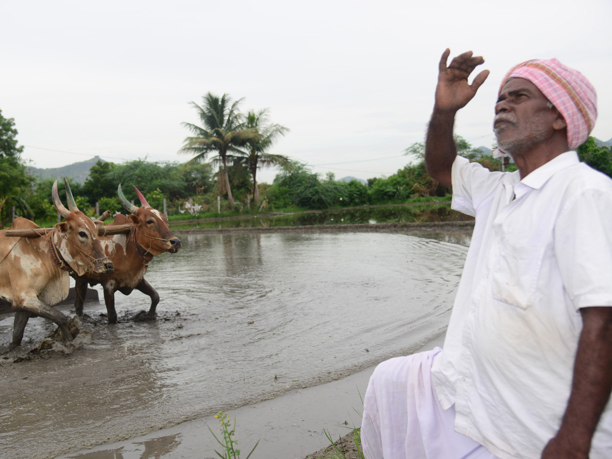   Best images of The Week in AP and Telangana  August 04 to August 11 2019 - Sakshi5