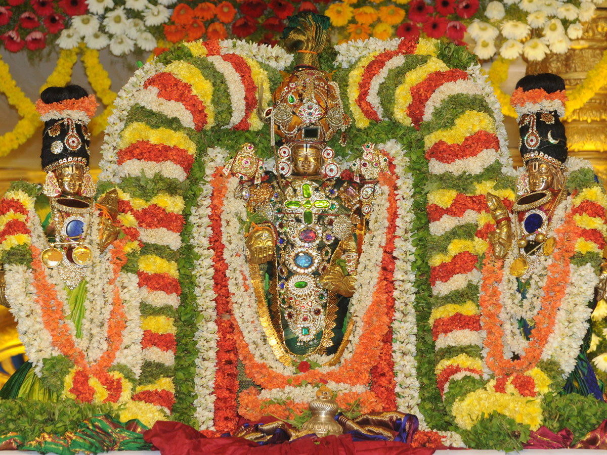 Sri Venkateswara Swamy Kalyanam in Ongole Photo Gallery - Sakshi2