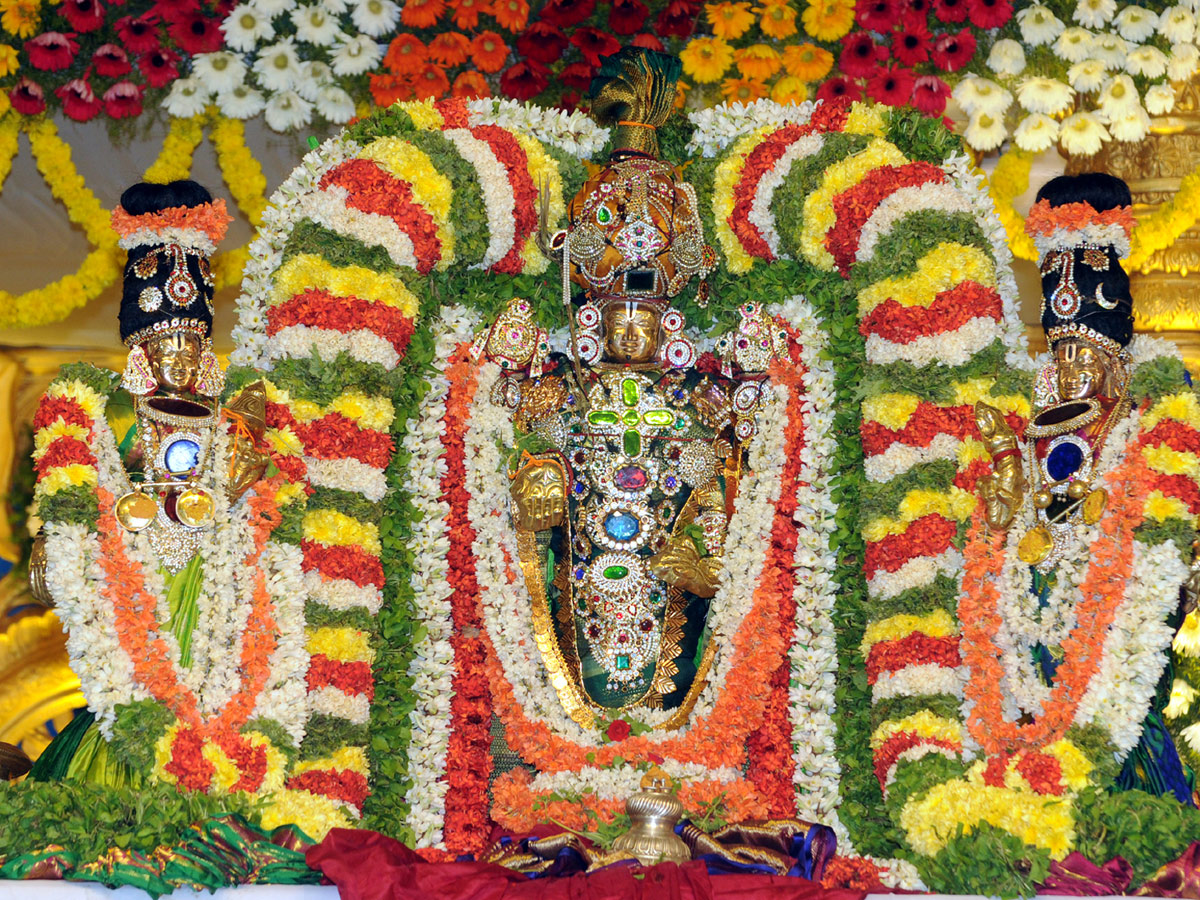 Sri Venkateswara Swamy Kalyanam in Ongole Photo Gallery - Sakshi28