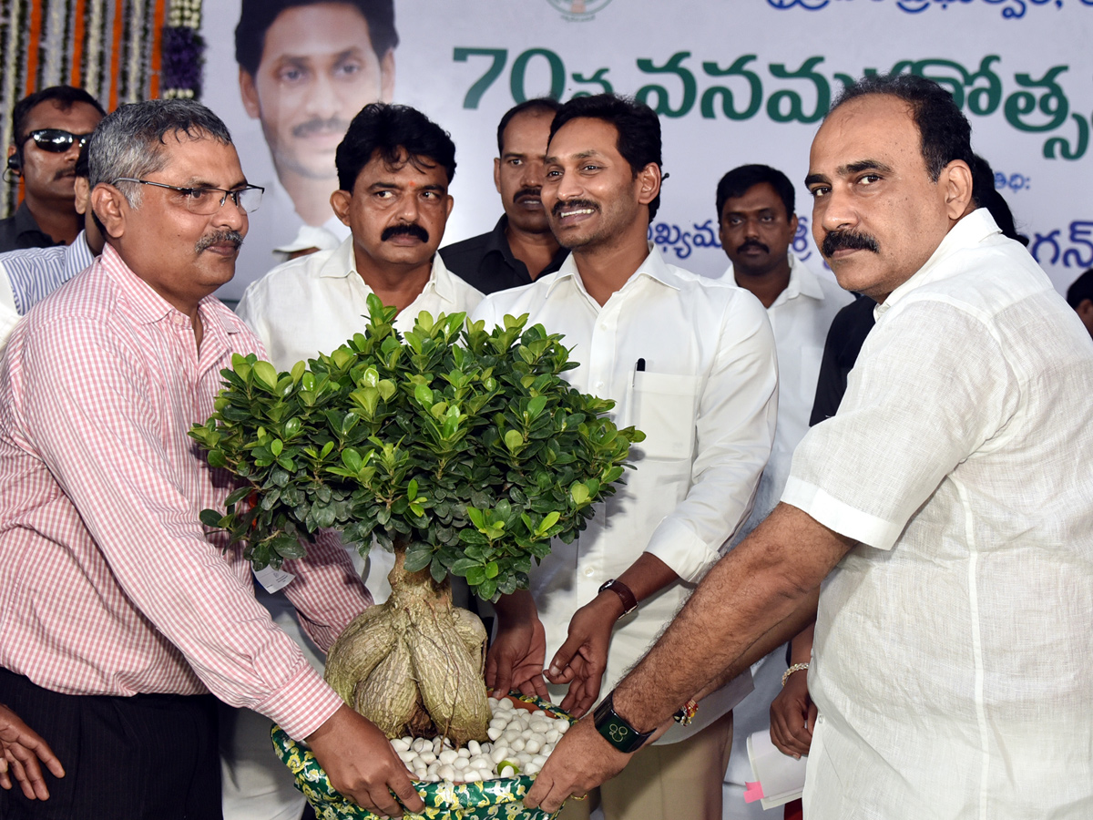 CM Ys Jagan Speech Vanamahotsava Program Guntur Photo Gallery - Sakshi45