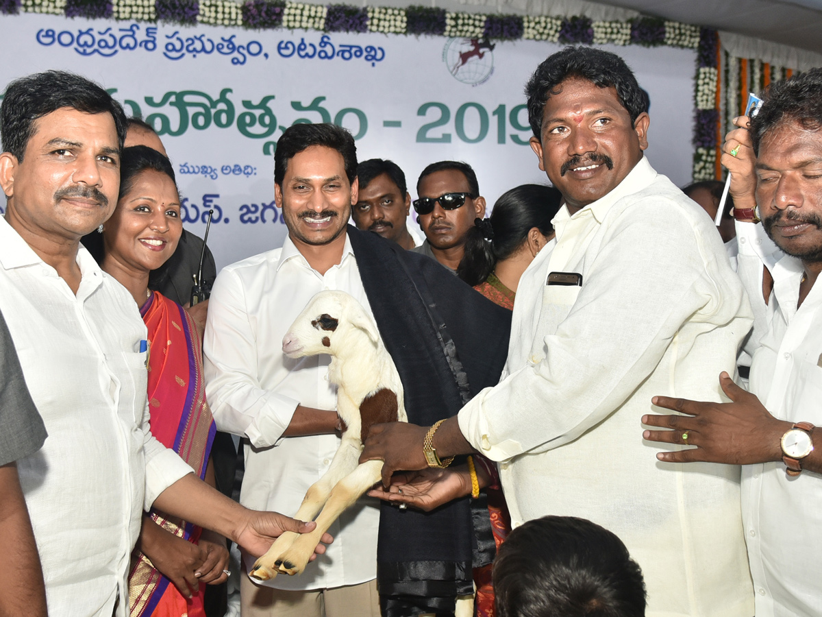 CM Ys Jagan Speech Vanamahotsava Program Guntur Photo Gallery - Sakshi46