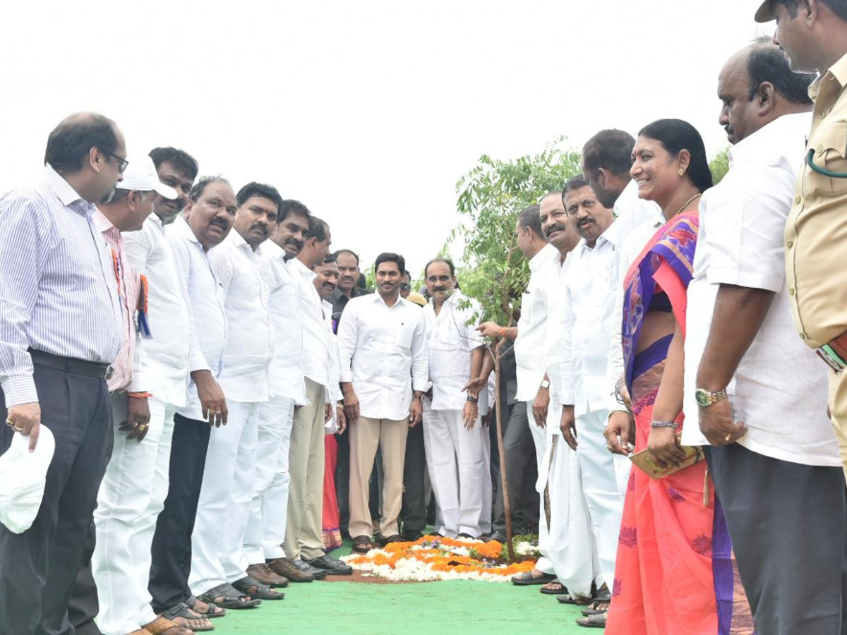 CM Ys Jagan Speech Vanamahotsava Program Guntur Photo Gallery - Sakshi2