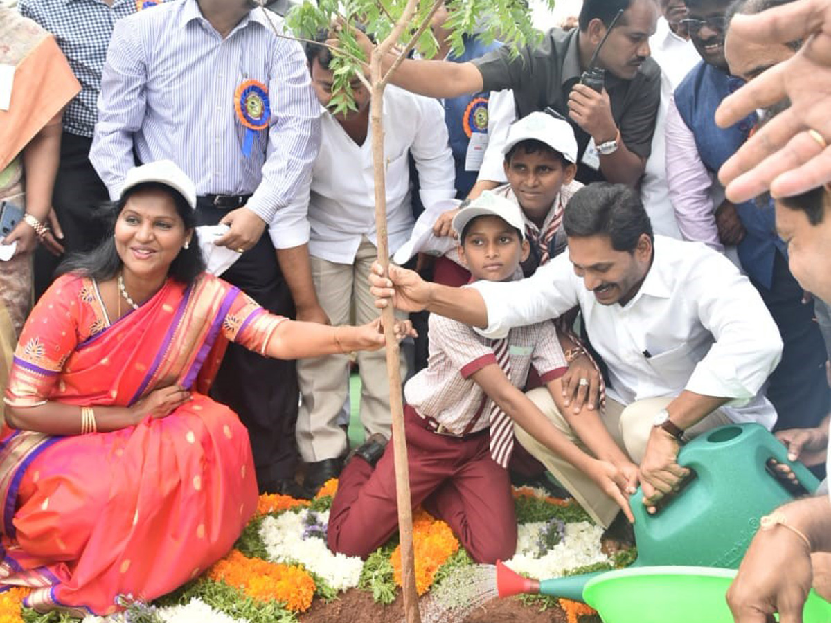 CM Ys Jagan Speech Vanamahotsava Program Guntur Photo Gallery - Sakshi3