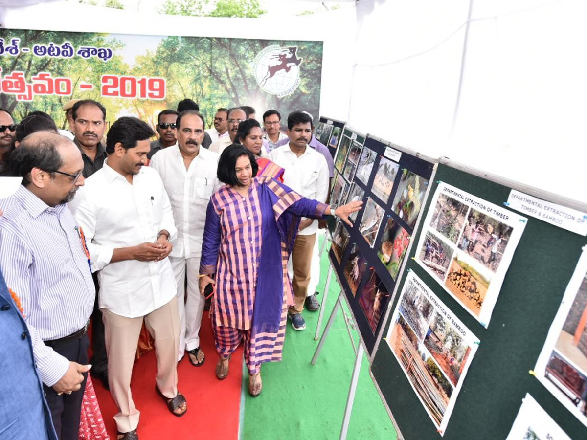 CM Ys Jagan Speech Vanamahotsava Program Guntur Photo Gallery - Sakshi5