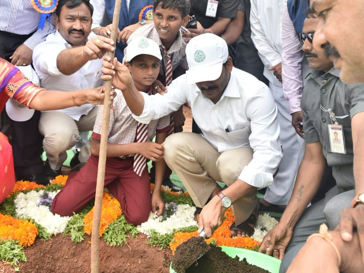 CM Ys Jagan Speech Vanamahotsava Program Guntur Photo Gallery - Sakshi7