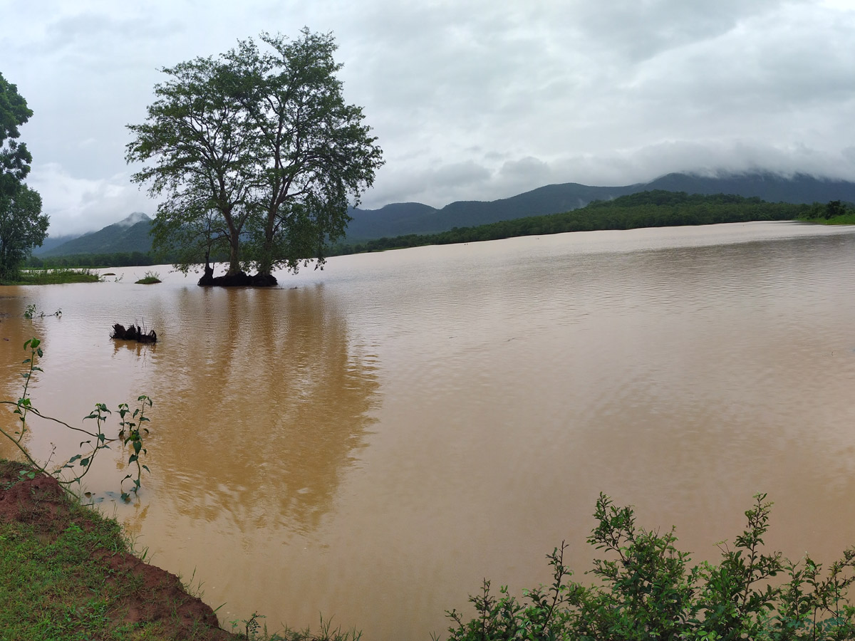 Heavy Rains East Godavari District Photo Gallery - Sakshi13