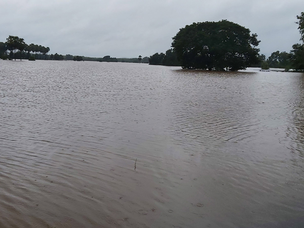 Heavy Rains East Godavari District Photo Gallery - Sakshi33