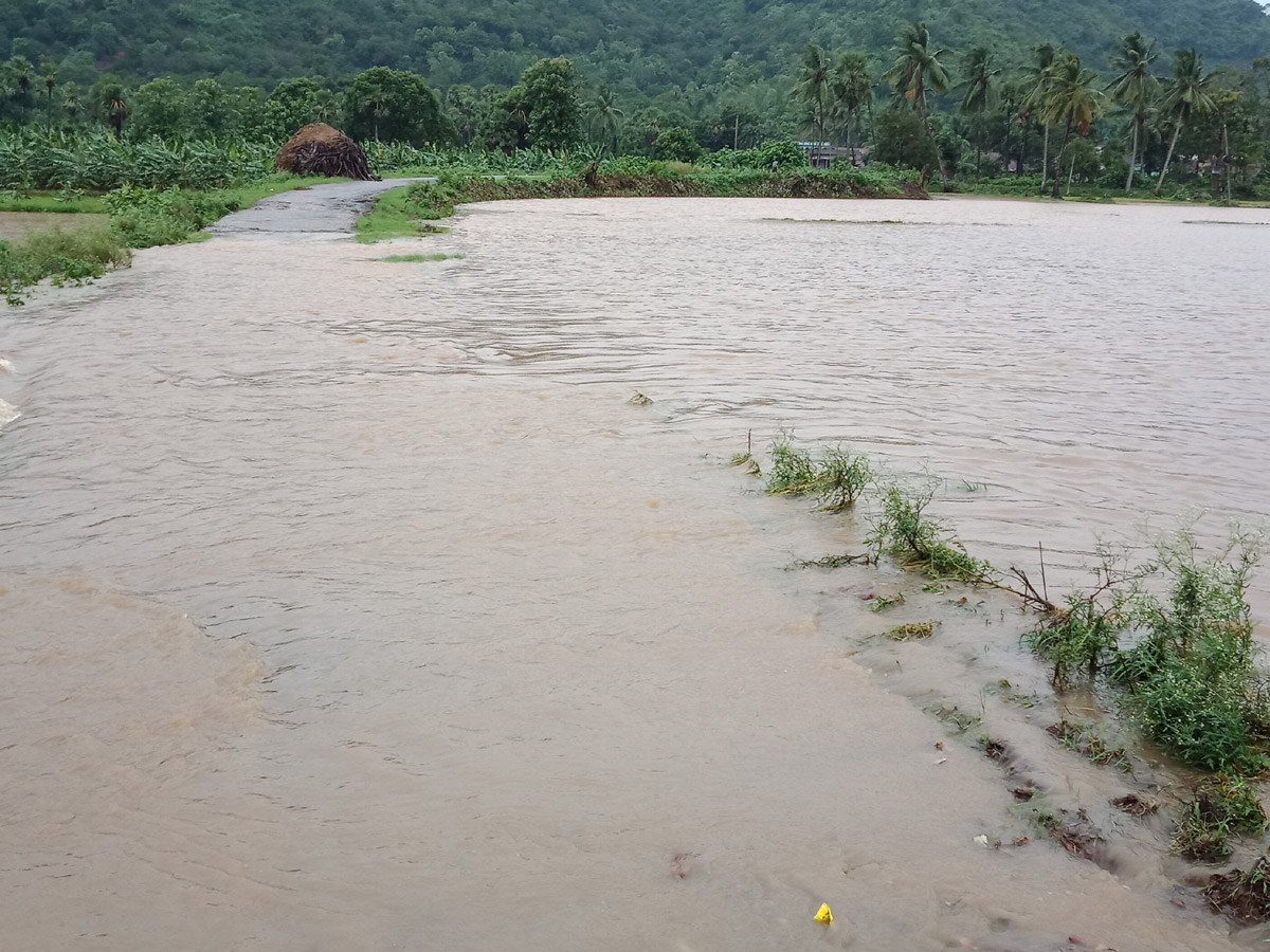 Heavy Rains East Godavari District Photo Gallery - Sakshi39