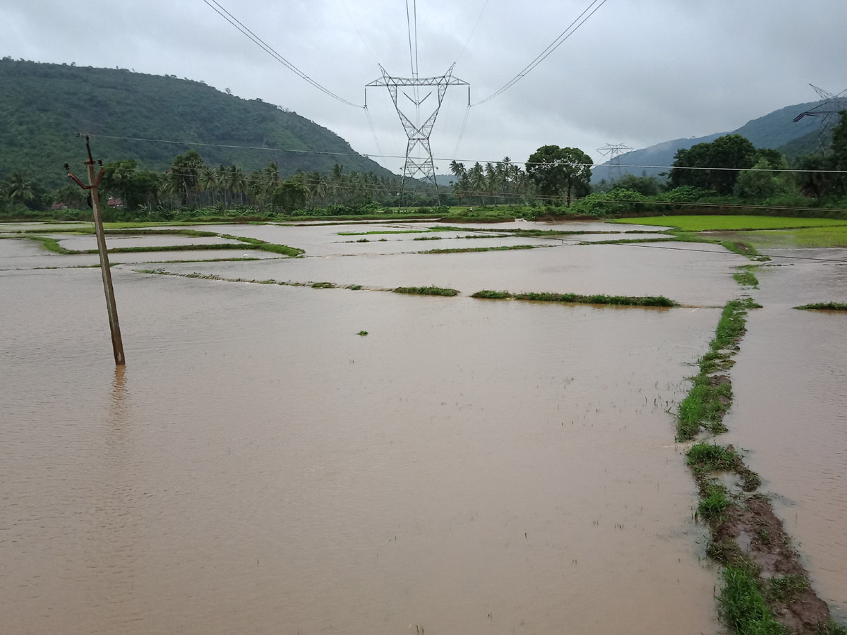 Heavy Rains East Godavari District Photo Gallery - Sakshi40