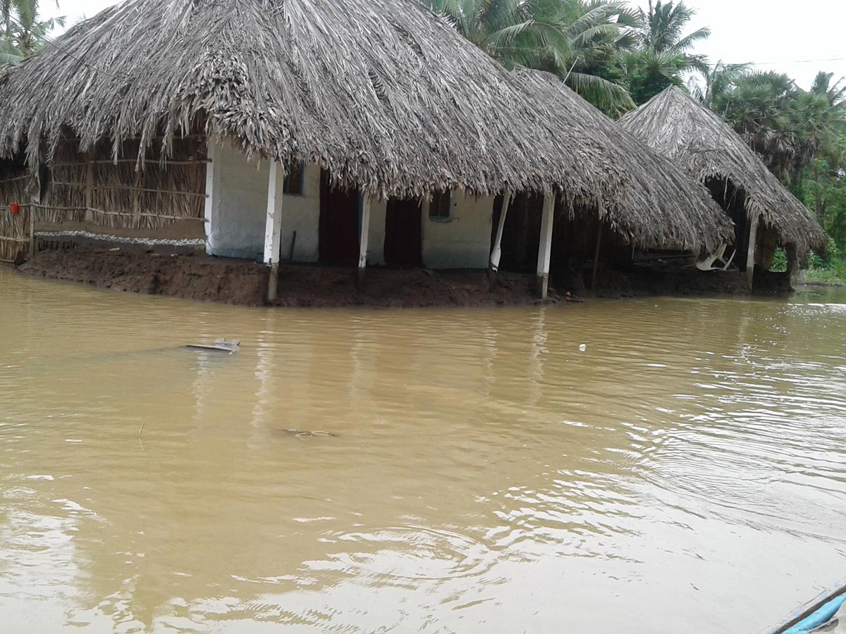 Heavy Rains East Godavari District Photo Gallery - Sakshi45