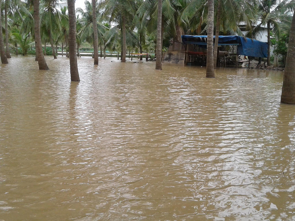 Heavy Rains East Godavari District Photo Gallery - Sakshi46